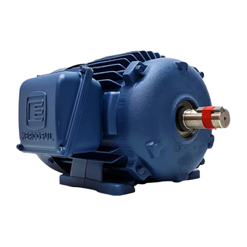 Motor Trifásico IP55